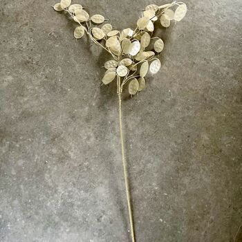 Clear Honesty Spray, 4 of 4