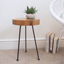 Tree Trunk Side Table, thumbnail 1 of 3