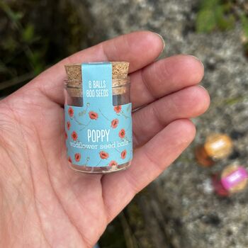 Wildflower Jar Stocking Fillers Set Of Six Flowers, 4 of 11