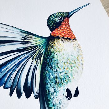 Ruby Throated Hummingbird Print, 5 of 10