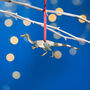 Wooden Xunmenglong Dinosaur Christmas Tree Decoration, thumbnail 1 of 3