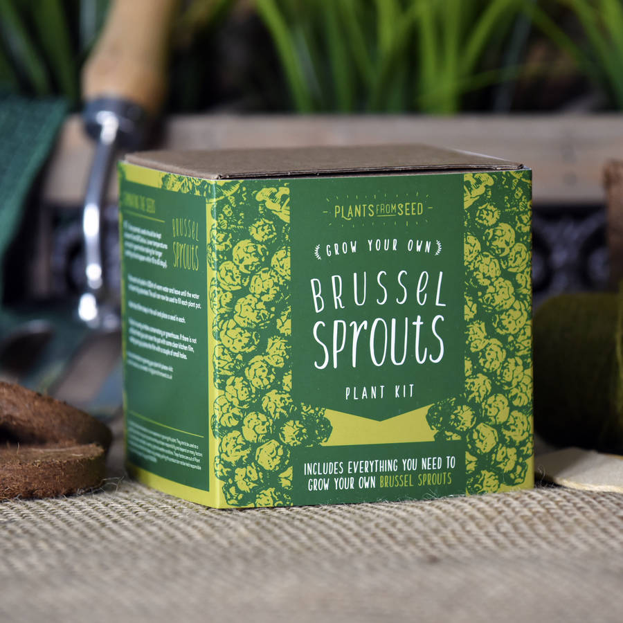 Grow Your Own Brussel Sprouts Plant Kit By Plants From Seed