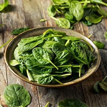 Vegetable Plants Spinach 'Renegade' Plant Pack, 11 of 11