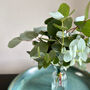 Fresh Eucalyptus Bud Vase Gift Set, thumbnail 8 of 9