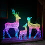 Twinkly Smart LED Light Up Christmas Reindeer Family, thumbnail 1 of 12