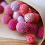 Preserved Candy 'Billy Buttons' Craspedia Flowers, thumbnail 5 of 7