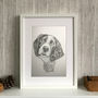 Personalised Pet Portrait Illustration, thumbnail 6 of 8