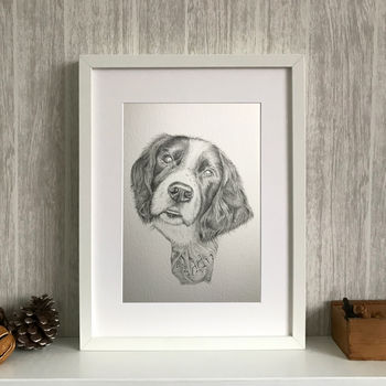 Personalised Pet Portrait Illustration, 6 of 8