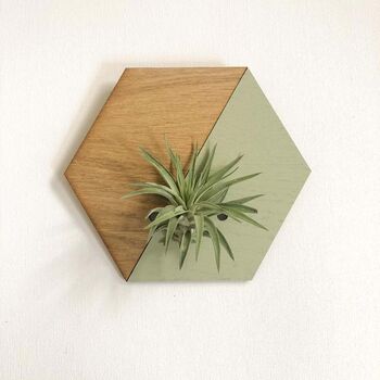 Indoor Wall Hanging Planter, Air Plants Display, 9 of 11