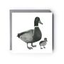 Duck And Duckling Countryside Card, thumbnail 1 of 4