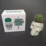 Cactus Or Succulent Skulls That Glow In The Dark, thumbnail 2 of 8