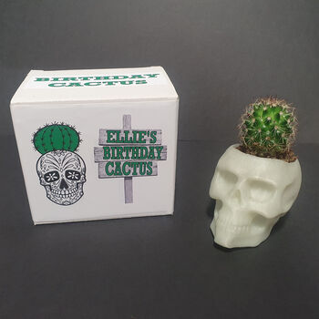 Cactus Or Succulent Skulls That Glow In The Dark, 2 of 8