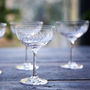 Pair Of Ovals Champagne Saucers, thumbnail 3 of 4