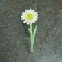 Daisy White Flower Brooch, thumbnail 1 of 5