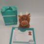 Personalised Highland Brown Cow Soft Toy, Gift Boxed, thumbnail 9 of 12