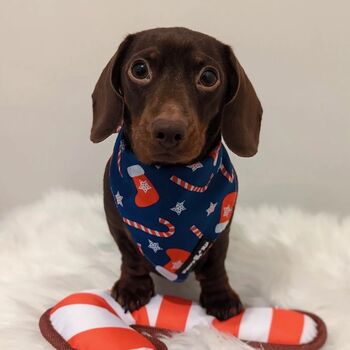 Blue Christmas Stocking Bandana, 3 of 5