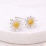 Sterling Silver And Gold Daisy Stud Earrings – 10mm, thumbnail 4 of 9