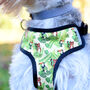 Dog Harness Adjustable Tigers And Toucans, thumbnail 5 of 7