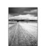 Crop Field, Couziers Photographic Art Print, thumbnail 3 of 4