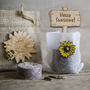 Pocket Full Of Sunshine … Mini Sunflower Kit, thumbnail 3 of 4
