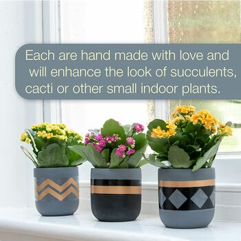 Three Set Of Small Ceramic Indoor Plant Pots, 5 of 7