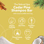 Cedar Pine Shampoo Bar For All Hair Types Palm Free, thumbnail 4 of 9