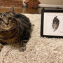 Personalised Original Watercolour Pet Portrait, thumbnail 3 of 12