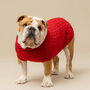 Plain Knitted Red Dog Jumper, thumbnail 1 of 6
