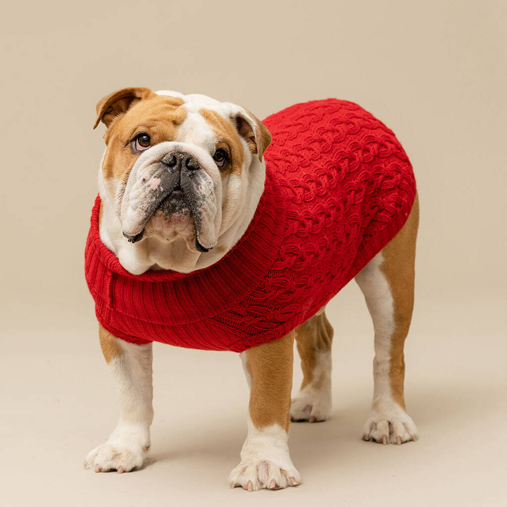 Plain Knitted Red Dog Jumper, 1 of 6