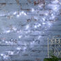 800 Dual LED String Lights Clear Cable, thumbnail 3 of 7