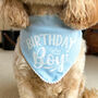 It’s My Birthday Dog Bandana, thumbnail 5 of 8