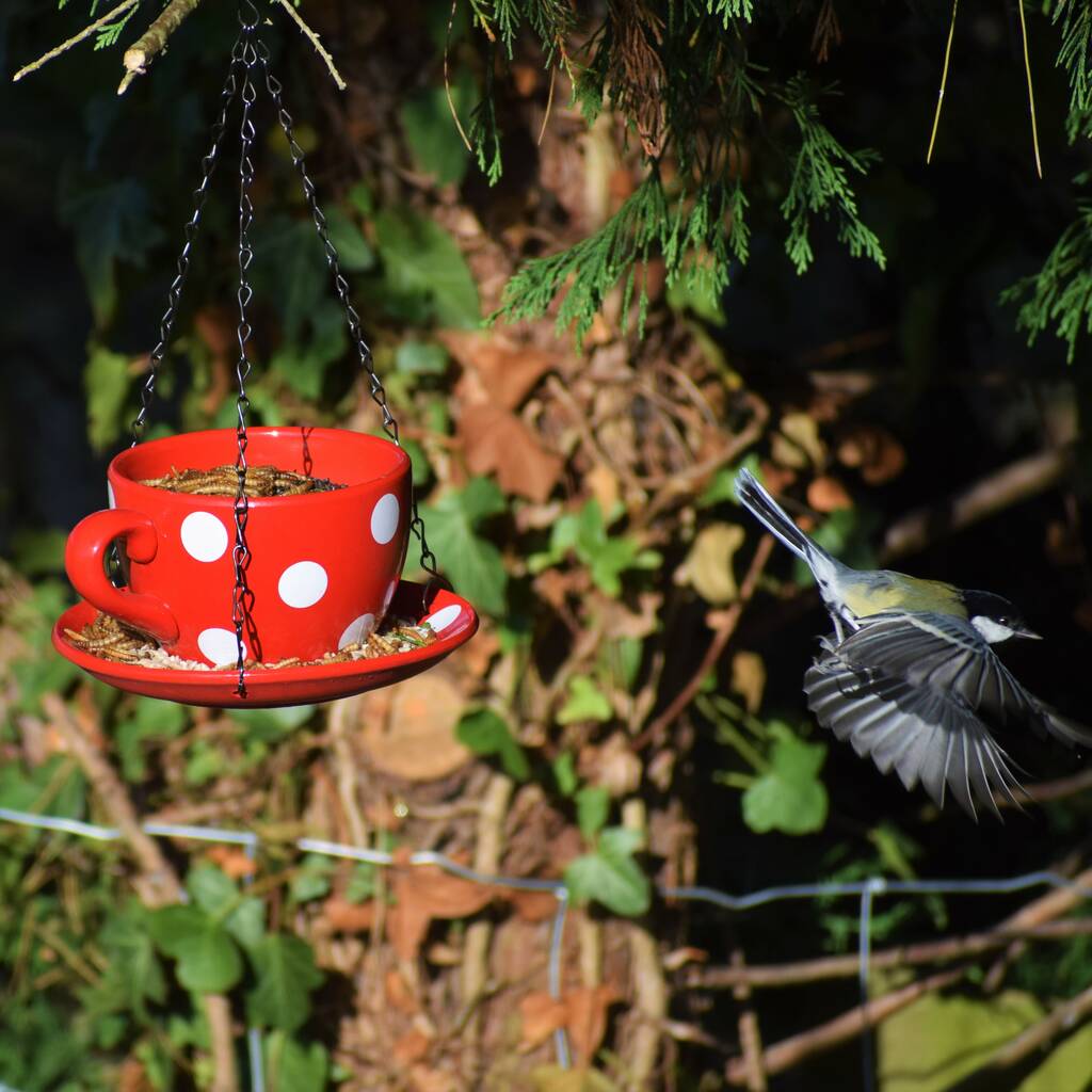Tea Cup Bird Feeder, Garden Christmas Gift By The Bird Bakery