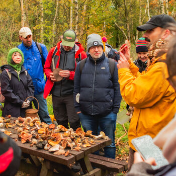 Foraging Experience Near Leeds, 2 of 7