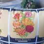 Vintage Flower Seed Print Decorative Cushion, thumbnail 2 of 8