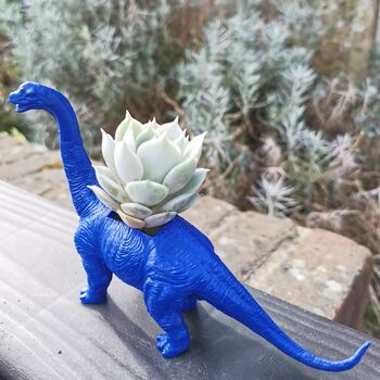 Hand Painted Dinosaur Plant Pot With A Plant, 2 of 2