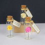 Tiny Personalised Chrysanthemum Flower In A Bottle, thumbnail 3 of 7