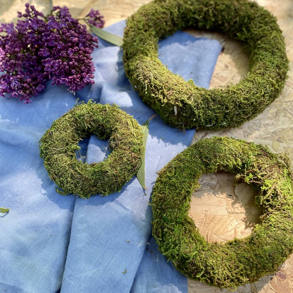 Moss Wreath Set Of Three By The Florist's Daughter