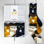 Top Cat Box Of Socks, thumbnail 3 of 7