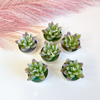 Agave Succulent Tealight Candle Gift Set, 8 of 9
