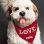 Valentines Dog Bandana Funny Dog Valentines Gifts, thumbnail 1 of 6