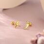 Sterling Silver Mismatched Kawaii Hammerhead Shark And Manta Ray Screwback Earrings, thumbnail 4 of 12