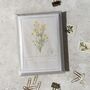 Botanical Wildflowers Postcards Gift Set, thumbnail 9 of 10