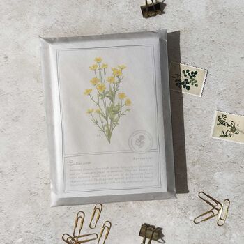 Botanical Wildflowers Postcards Gift Set, 9 of 10