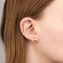 9ct Yellow Gold Diamond Cut Ball Stud Earrings – 7mm, thumbnail 2 of 5