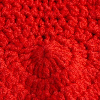 Red Heart Bag Crochet Kit Heart Research UK Charity, 7 of 7