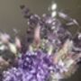 Purple Hydrangea Dried Flower Bouquet, thumbnail 4 of 10