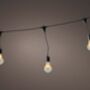 LED Indoor Outdoor Festoon Lights, thumbnail 3 of 3