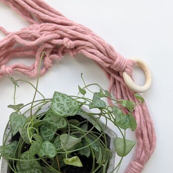 Popcorn Knot Macrame Plant Hanger Craft Kit, 8 of 10