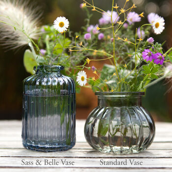 Grow Your Own Wildflower Bouquet And Vase Gift Set, 3 of 12