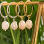 Baroque Pearl Hoops In Gold And Silver, thumbnail 1 of 7